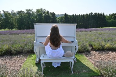 Lavanta tarlasında şapkalı kadın ve beyaz piyano