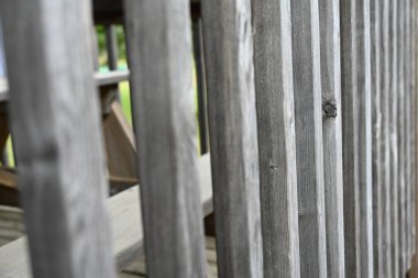 eski ve ahşap arkaplan ve doku