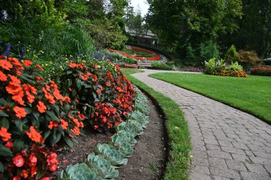 Manzaranın arka planında güzel çiçekler,