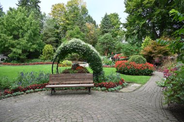 Manzaranın arka planında güzel çiçekler,