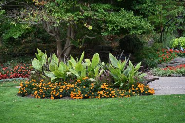 Manzaranın arka planında güzel çiçekler,