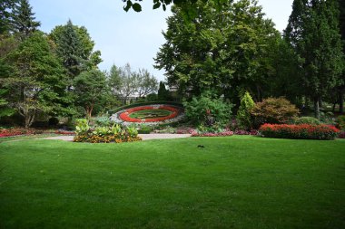 Manzaranın arka planında güzel çiçekler,