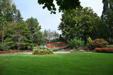 Manzaranın arka planında güzel çiçekler,