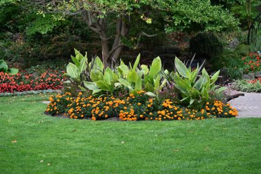 Manzaranın arka planında güzel çiçekler,