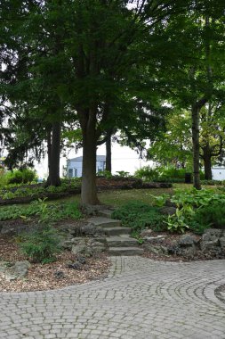 Manzaranın arka planında güzel çiçekler,