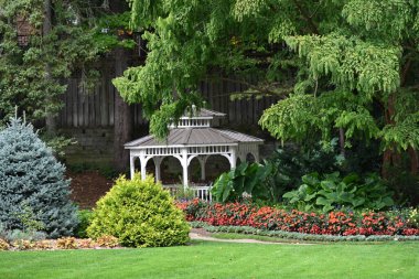Manzaranın arka planında güzel çiçekler,