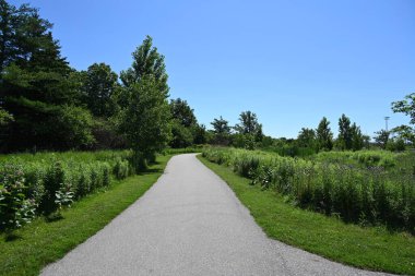 parktaki ve manzaradaki çardak,