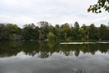 Güzel manzara, sonbahar ve göl ormanı. 