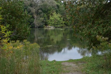 Güzel manzara, sonbahar ve göl ormanı. 