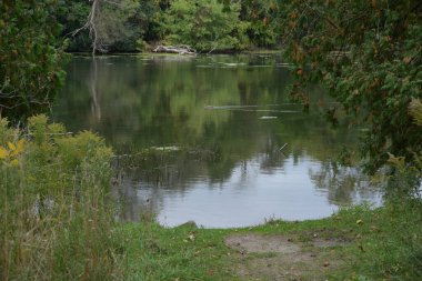 Güzel manzara, sonbahar ve göl ormanı. 