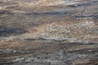 güzel arkaplan, doku ve ağaç