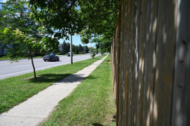 güzel arkaplan, doku ve ağaç