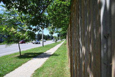 güzel arkaplan, doku ve ağaç