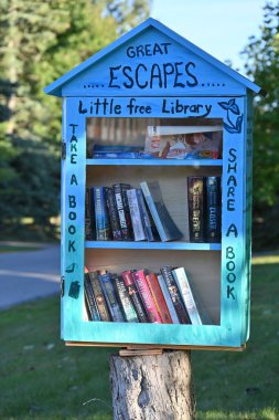 Ağaçta küçük bir ev, içinde kitaplar olan ücretsiz bir kütüphane.