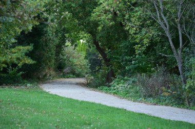 Şehir parkının güzel manzarası