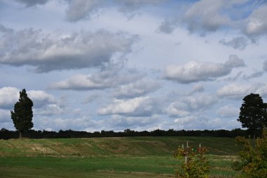 Bulutlu bir gökyüzünün altında, sakin bir arka planda ağaçlarla dolu, yemyeşil bir manzaranın manzarası.