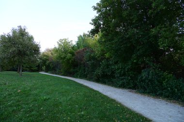 Serene park yolu sabahın erken saatlerinde yemyeşil çimenlikte dönüyor.