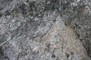 Gri granit dokusu. taş arkaplan