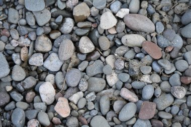 Deniz kıyısında taşlar Deniz taşları ve çakıl taşları