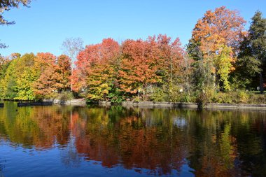 Ağaçlar ve nehirlerle dolu güzel sonbahar manzarası 