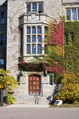 Sonbahar mevsiminde bitki ve ağaçlarla kaplı bir ev. 