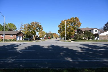 Parktaki yol ve ağaçlar