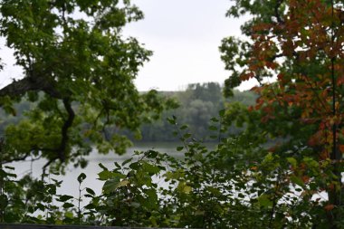 Yazın ağaçlar ve nehirlerle dolu güzel bir manzara. 