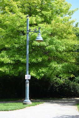 Parktaki fener ve kuşlar.,