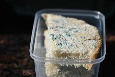 Beyaz ekmek ve yosun üzerinde küf