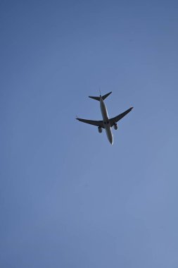 Masada dilimlenmiş beyaz soğan