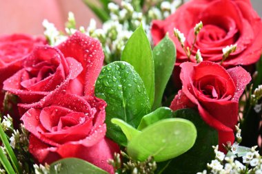 Güzel bir buket kırmızı gül