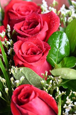 Güzel bir buket kırmızı gül