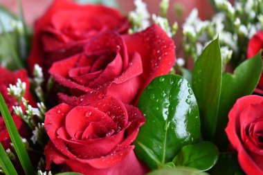 Güzel bir buket kırmızı gül