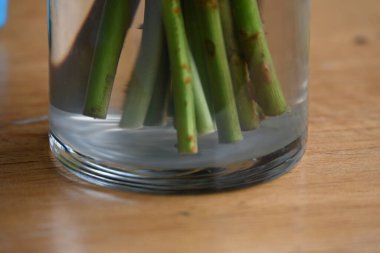 Çiçeklerin cam vazoda yakın plan görüntüsü