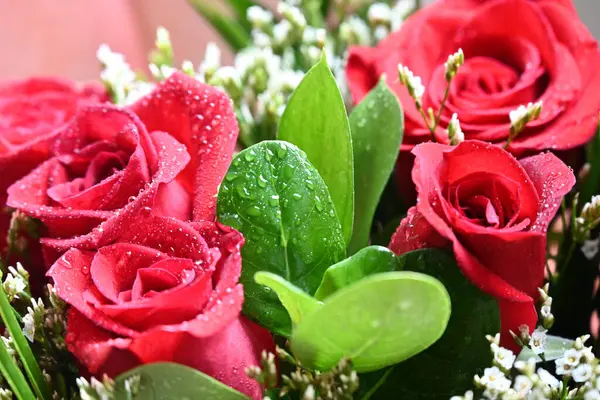 Güzel bir buket kırmızı gül