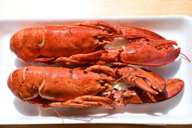 Arka planda nefis ıstakoz.