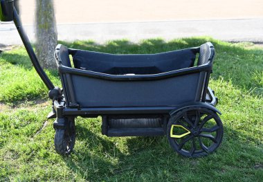 Dışarıda yeşil çimlerin üzerinde at arabası