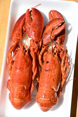 Arka planda nefis ıstakoz.