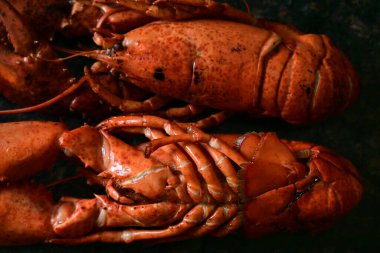 Arka planda nefis ıstakoz.