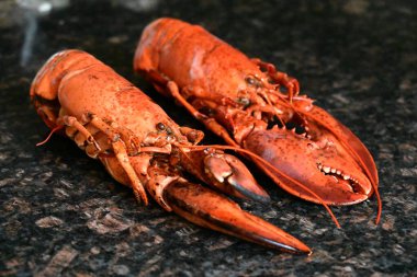 Arka planda nefis ıstakoz.