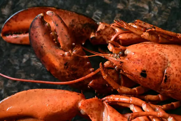 Arka planda nefis ıstakoz.