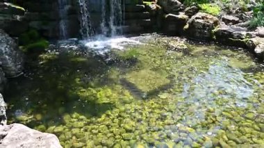 Doğadaki şelale ve berrak su