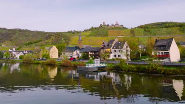 언덕에 아늑하게 자리잡은 포도밭에 Moselle Germanyhigh Quality — 비디오