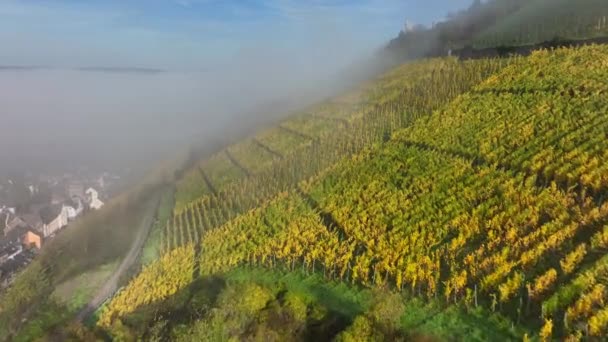 Drone Aereo Girato Nell Autunno Traben Trarbach Con Nebbia Mattutina — Video Stock