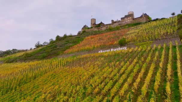 Burg Thurant Den Moselweinbergen Eingebettet Die Hügel Drohnenaufnahme Der Burg — Stockvideo