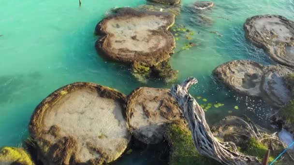 Bacalar Quintana Roo Meksika Yakınlarındaki Yedi Renk Gölünde Antik Stromatolitlerin — Stok video