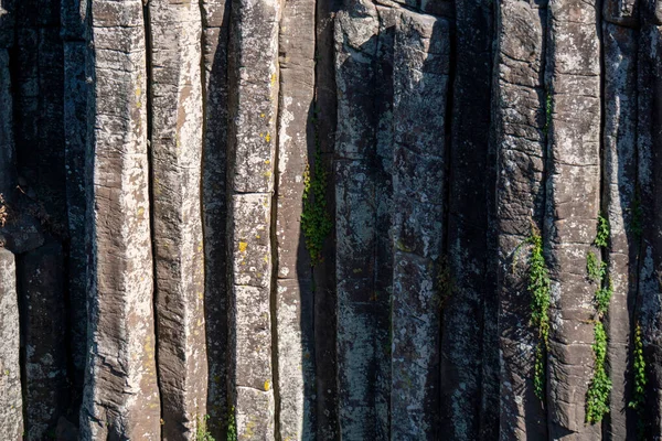 Базальтовые Призмы Национальный Парк Водопадными Геометрическими Формациями Плейстоценовая Эпоха Природное — стоковое фото