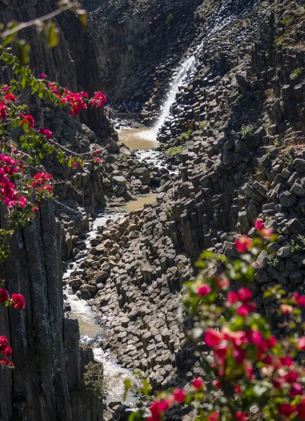 Basaltic Prisms, National Park with Waterfall geometric formations, Pleistocene era, Natural wonder. Hidalgo, Mexico.