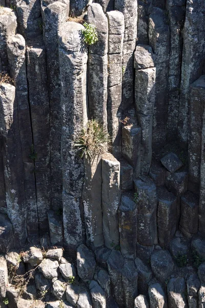 Basaltic Prisms National Park Waterfall Geometric Formations Pleistocene Era Natural — Stock Photo, Image