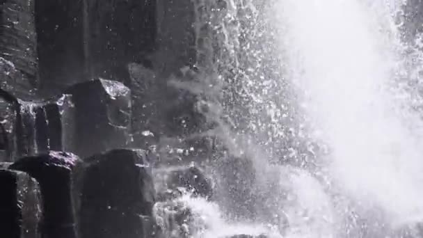 Базальтова Призма Національний Парк Водоспадними Геометричними Формаціями Епоха Плейстоцену Природне — стокове відео